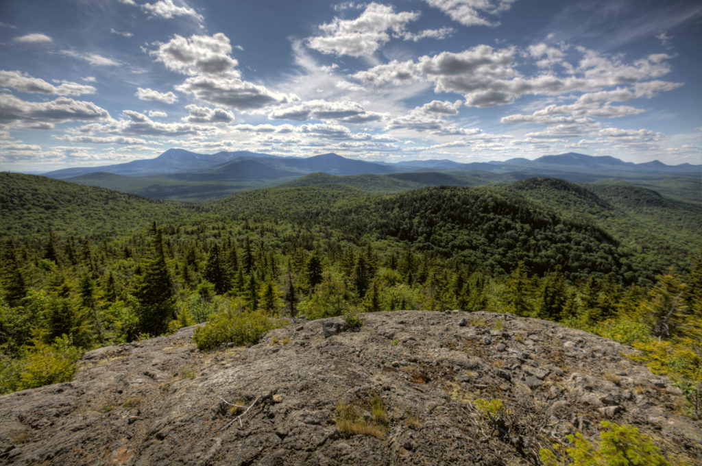 View from Lunksoos Mountain (Bill Duffy)