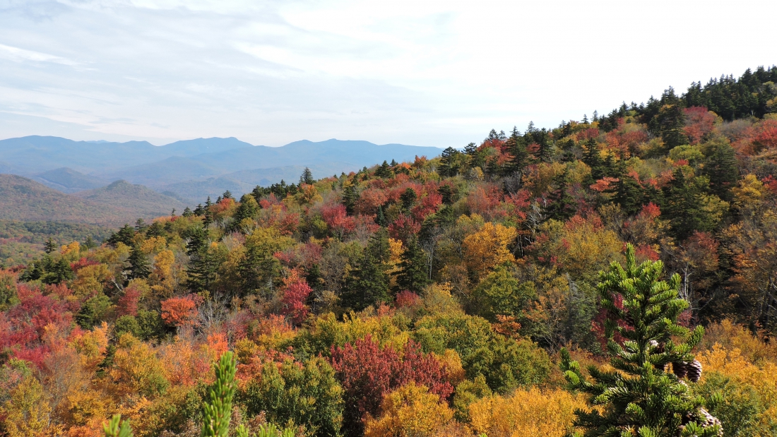 hubbardbrookautumn