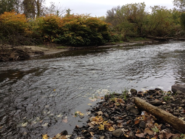 A stretch of the Housatonic River that, under an EPA proposal, would be dredged to remove PCBs. 