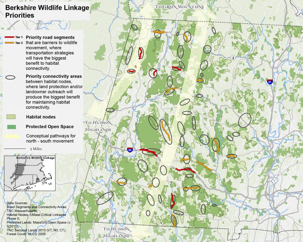 Massachusetts has identified key potential crossing areas to focus on. (Credit: The Nature Conservancy)