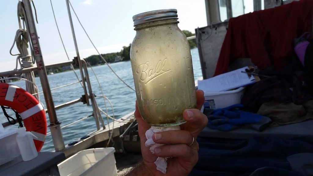 Vincent Breslin, a professor of chemistry at Southern Connecticut State University, holds up a jar filled with water from Long Island Sound. Breslin is testing the water for plastic contamination: tiny microbeads, sometimes invisible to the naked eye. Photo credit: Patrick Skahill 