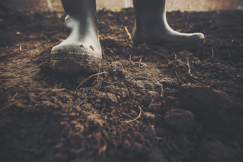 A farmer cultivating the land. Dry land is filled with weeds that needs to be exterminated. In harmony with his quest, the farmer is wearing black rubber boots. Photo credit: Luka Lajst / iStock.com 