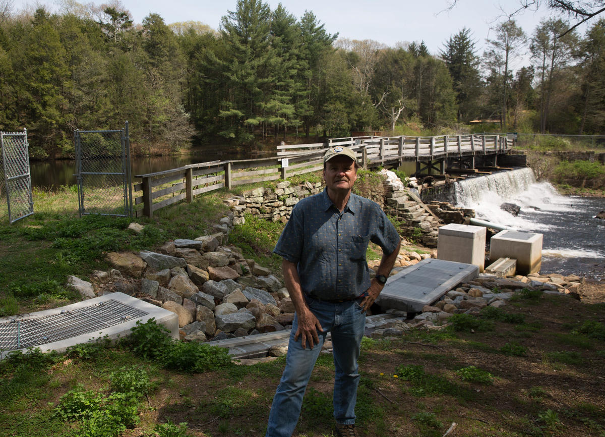 Steve Gephard, a supervising fisheries biologist with the state Department of Energy and Environmental Protection, in front of a fishway and eel pass his agency manages on the Menunketesuck River. Photo by Patrick Skahill for Connecticut Public Radio