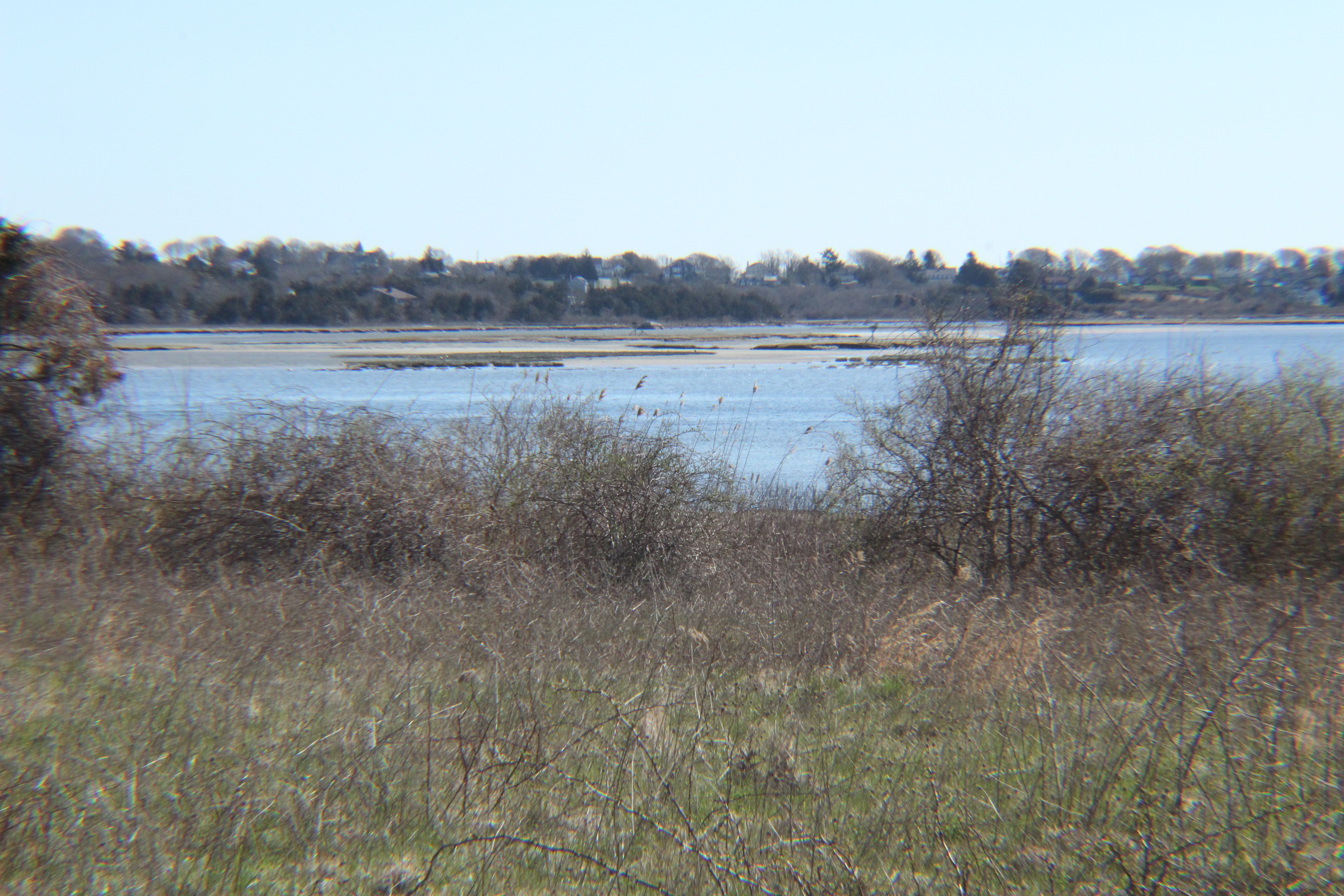 Salt marsh islands in Massachusetts. Photo by Juan Rodriguez