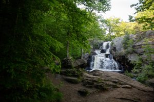 The journey began at Chapman Falls in Devil's Hopyard State Park. No one is entirely sure how the park got its unique name, but there are lots of stories. Photo by Ryan Caron King for Connecticut Public Radio