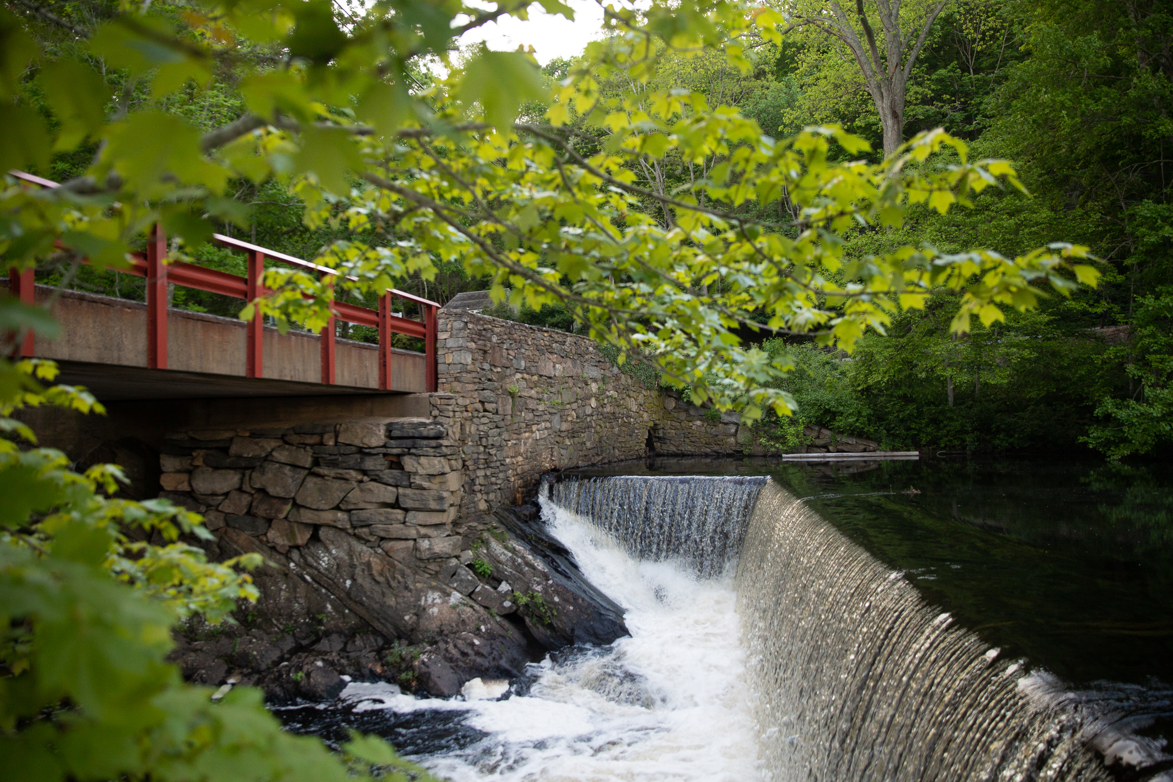 A dam on Moulson Pond along a section of the Eightmile River in Lyme, Connecticut. Photo by Ryan Caron King for Connecticut Public