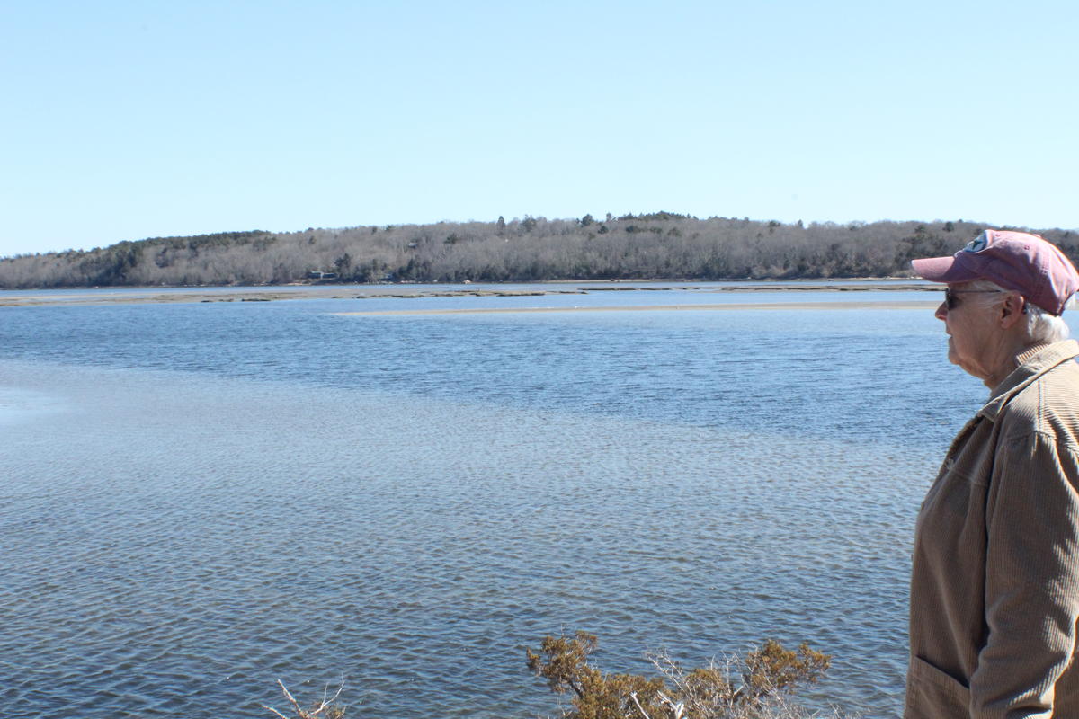 Eileen Sheehan looks out into the Westport River. Photo by Juan Rodriguez