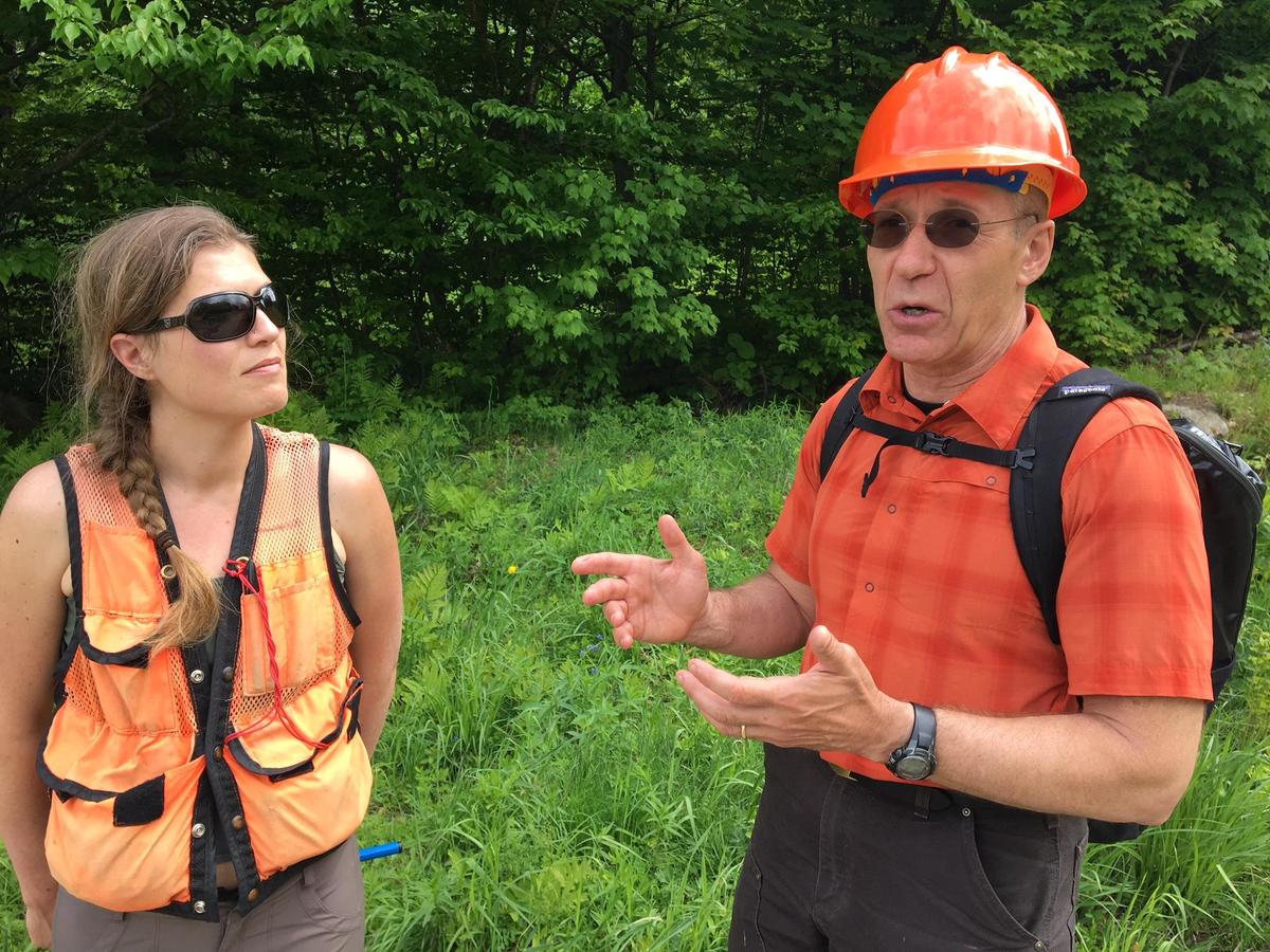 Alexandra Kosiba and Paul Schaberg teamed up to study red spruce recovery. Photo by John Dillon for VPR