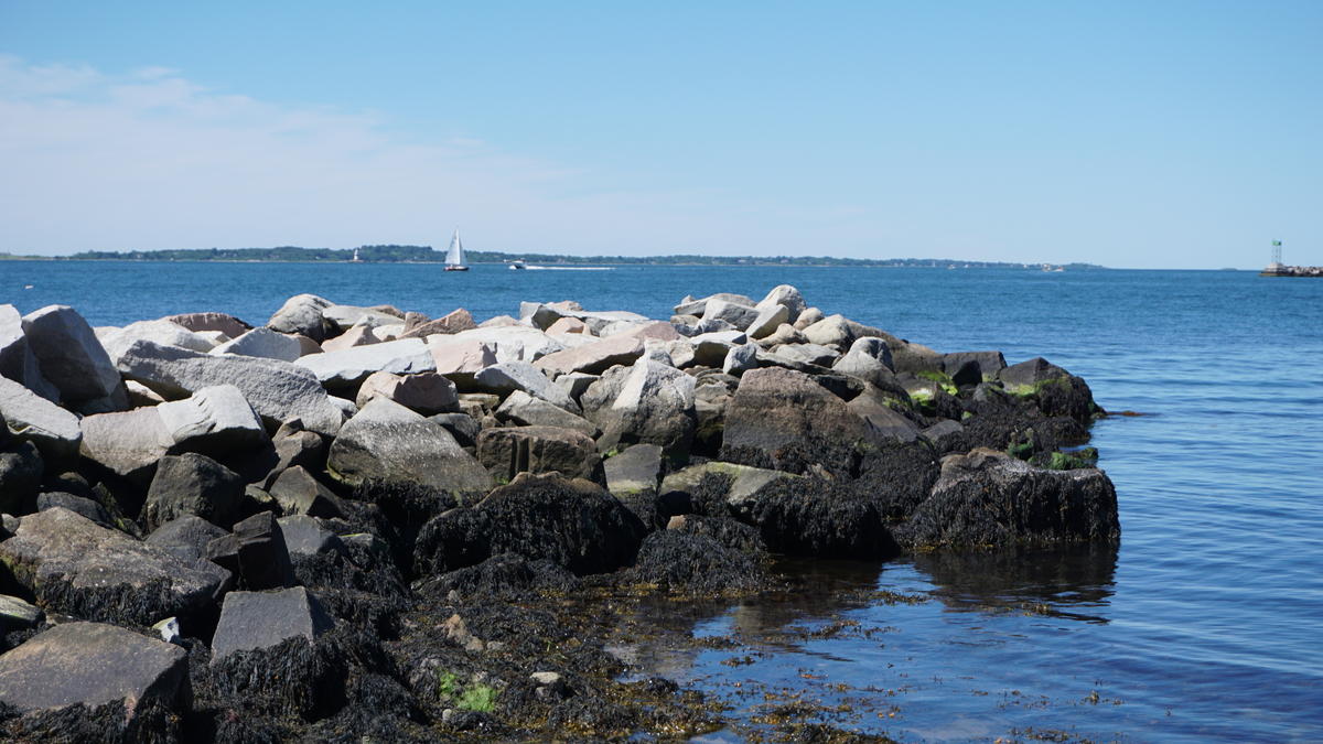 DuBois Beach in Stonington. Photo by Frankie Graziano for Connecticut Public Radio