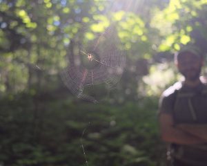 From a trail, you may feel like you're deep in the woods. But the Whites are crisscrossed by highways. Airplanes fly overhead. And the cog railway chugs up and down Mt. Washington. Photo by James Napoli for NHPR