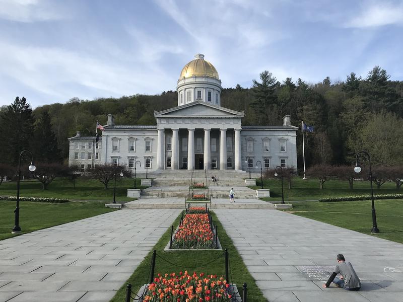 The Vermont State House. Photo by Emily Alfin Johnson for VPR