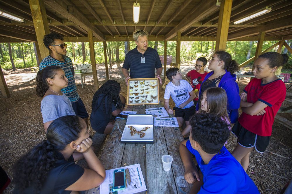 Ron Mack fields questions from campers of the Mashpee Wampanoag science camp while he presents cases filled with different types of butterflies. Photo by Jesse Costa for WBUR