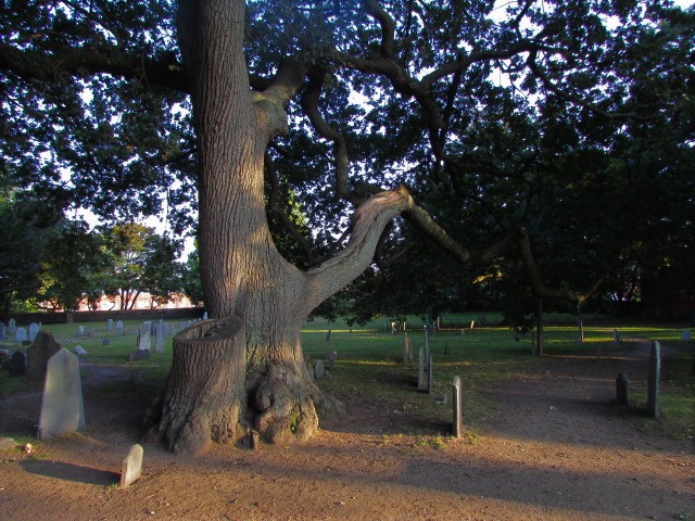 A graveyard in Salem, MA. Photo by Cat Craig, Flickr