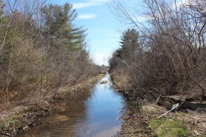 A sign next to this section of Berry's Brook, at the edge of the Coakley Landfill Superfund site, warns the water is contaminated with high levels of PFAS. Photo by Annie Ropeik for NHPR