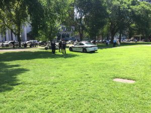 Emergency personnel respond to the overdose crisis on New Haven Green. Photo by Diane Orson for Connecticut Public Radio