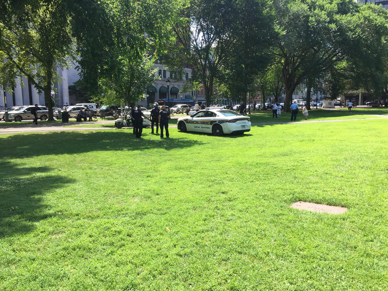 Emergency personnel respond to the overdose crisis on New Haven Green. Photo by Diane Orson for Connecticut Public Radio