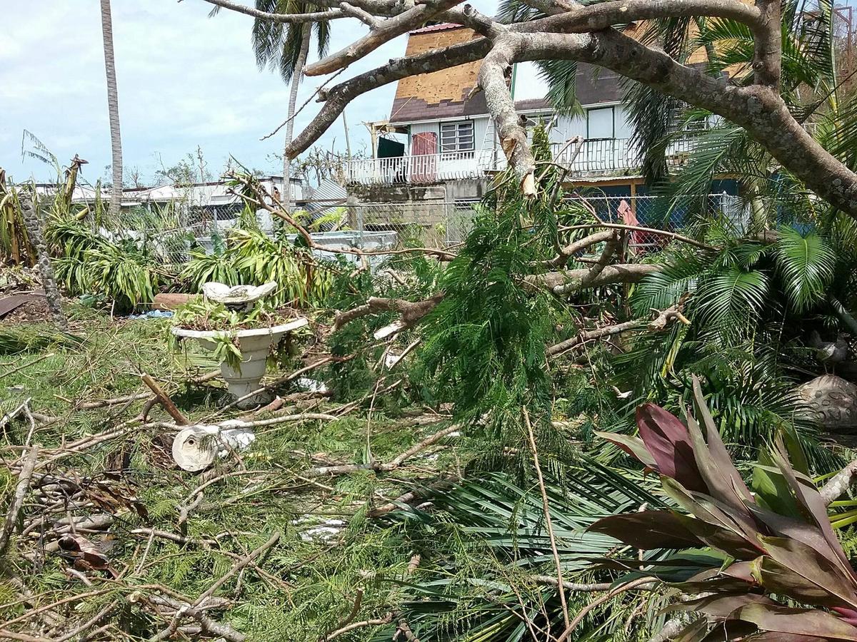 A photo of Carla Gomez' backyard in the aftermath of Hurricane Maria. Photo courtesy of Carla Gomez