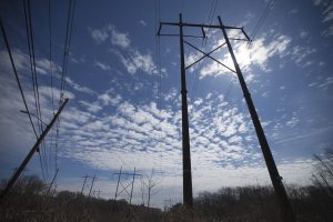 Powerlines in Medway, MA. Photo by Jesse Costa for WBUR