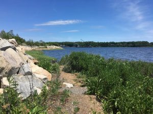 Providence River flows near Save the Bay headquarters in the city. A proposed Green Economy and Clean Water Bond would help improve the quality of state waters. Photo by Avory Brookins for RIPR