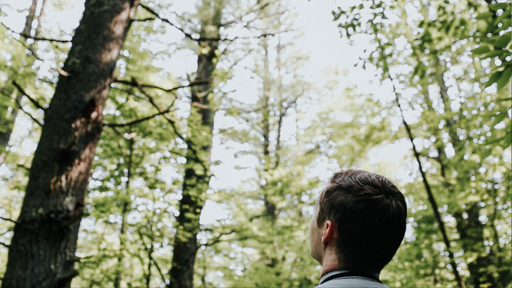 A view of the forest canopy near the site of the discovery of the barrels. Photo by Jason Moon and Allie Gutierrez