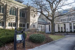 The large red oak tree at the center of a debate at the Harvard Divinity School. The tree is slated for removal to make room to renovate and expand Andover Hall. Photo by Jesse Costa for WBUR