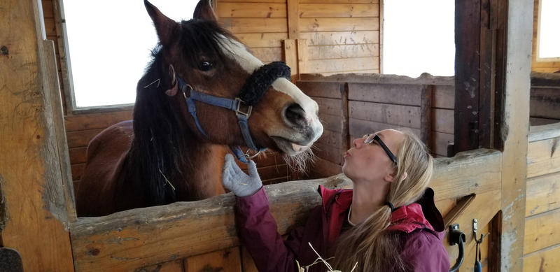 Inmate Carrisa Butkewitcz cares for Tavish, an older horse at the Maine State Society for the Protection of Animals in Windham that she describes as "calm and sweet." Photo by Susan Sharon for Maine Public