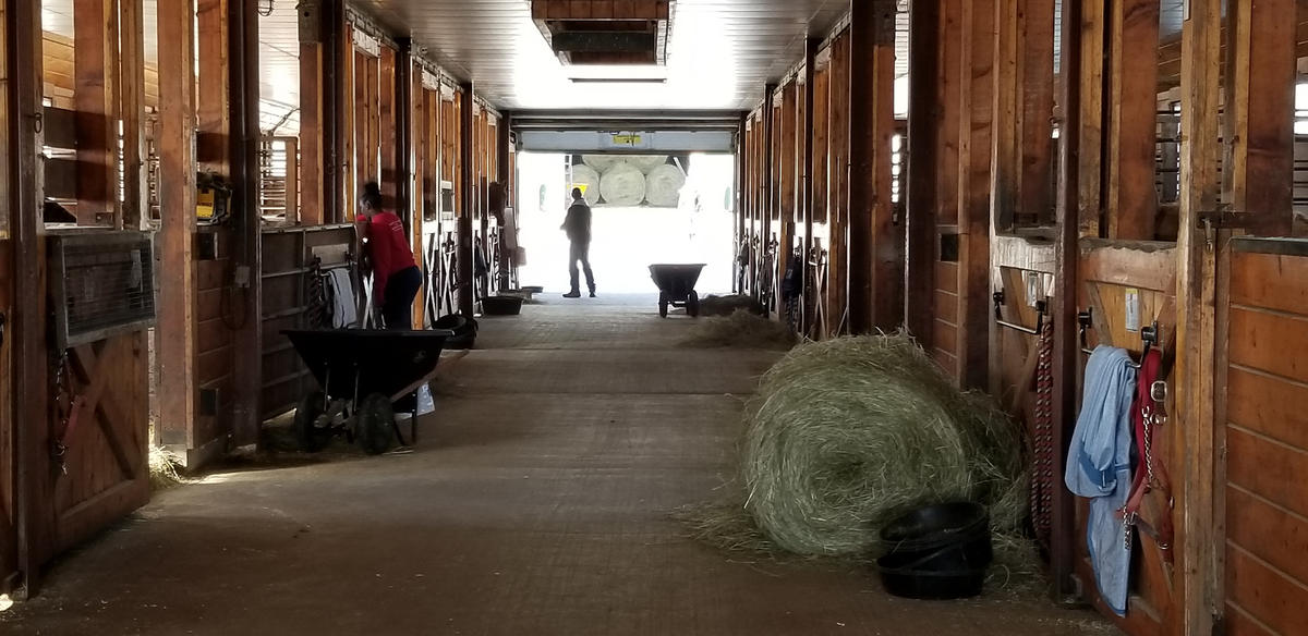 A barn at the Maine State Society for the Protection of Animals in Windham. Photo by Susan Sharon for Maine Public Radio