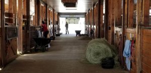 A barn at the Maine State Society for the Protection of Animals in Windham. Photo by Susan Sharon for Maine Public