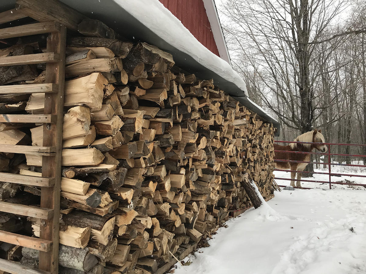 Studies show the tiny particles in wood smoke can be carcinogenic, and they can lead to and exacerbate heart disease, lung disease and asthma. The risk is highest for kids, elderly people, and anyone with heart or lung problems. Photo by Emily Corwin for VPR