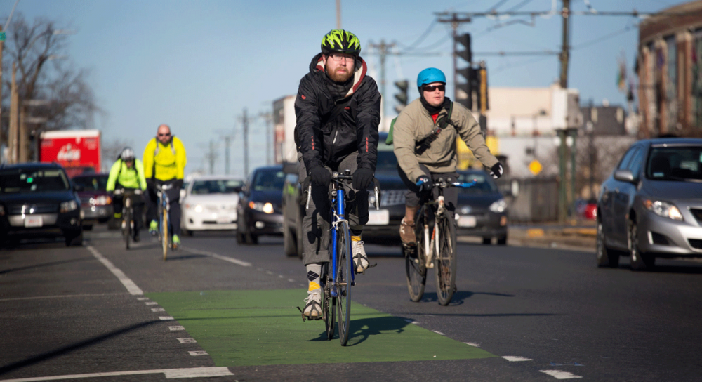 Cyclists ride down Commonwealth Avenue in Boston. Photo by Robbin Lubbock for WBUR