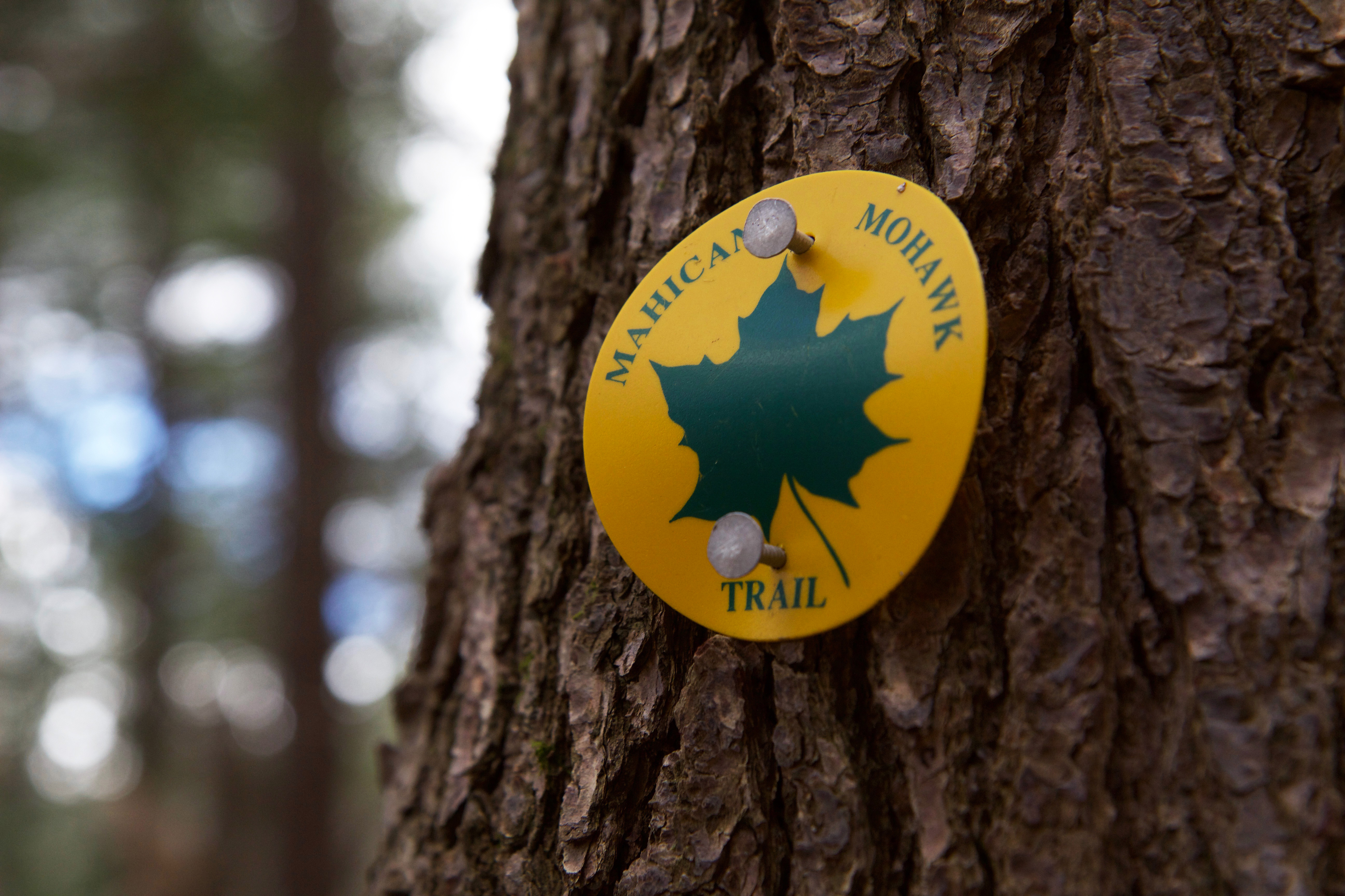 The Mahican-Mohawk Trail , a 100-mile trail intended to follow the area's indigenous footpaths along the Deerfield and Cold rivers and over the Hoosac Range, is named in part for the Mohicans, whose homelands are in Berkshire County. Photo by Elodie Reed