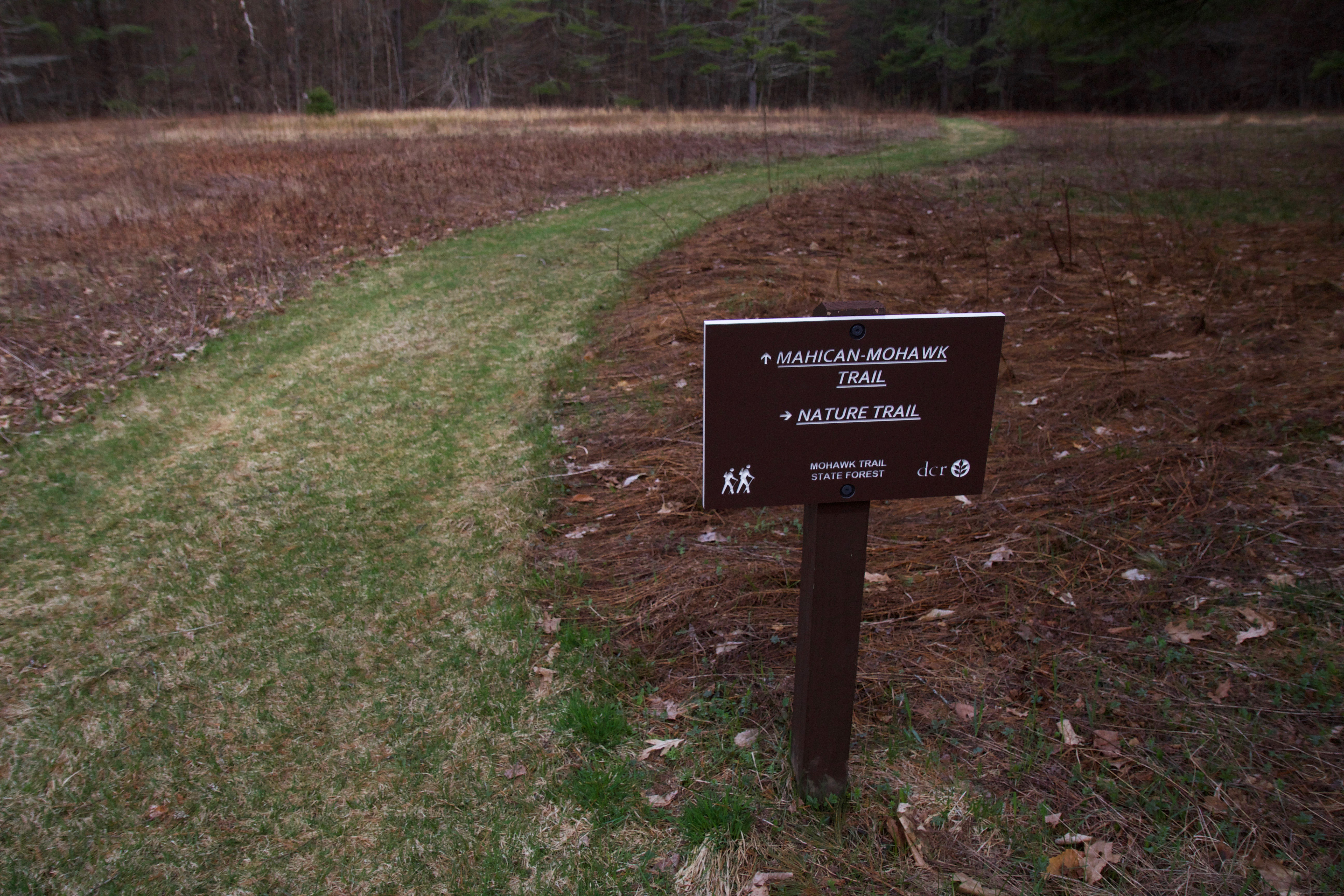 The Mahican-Mohawk Trail Partnership is considering making trail kiosks with educational information about Native people and their history in western Massachusetts. Photo by Elodie Reed