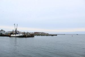 A view of the docks in Stonington, Conn. Women are increasingly shaping the food landscape in the area – as farmers, fisherwomen and food educators. Photo by Cassandra Basler for WSHU