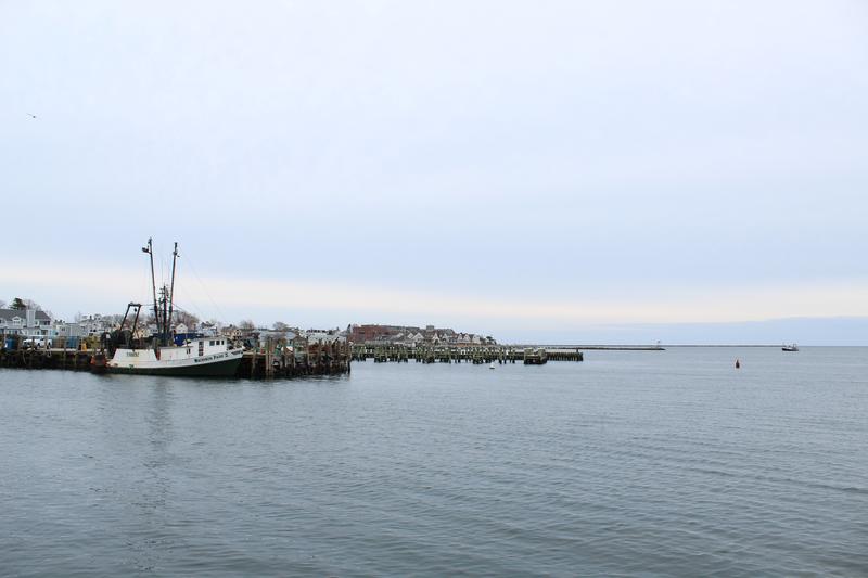 A view of the docks in Stonington, Conn. Women are increasingly shaping the food landscape in the area – as farmers, fisherwomen and food educators. Photo by Cassandra Basler for WSHU