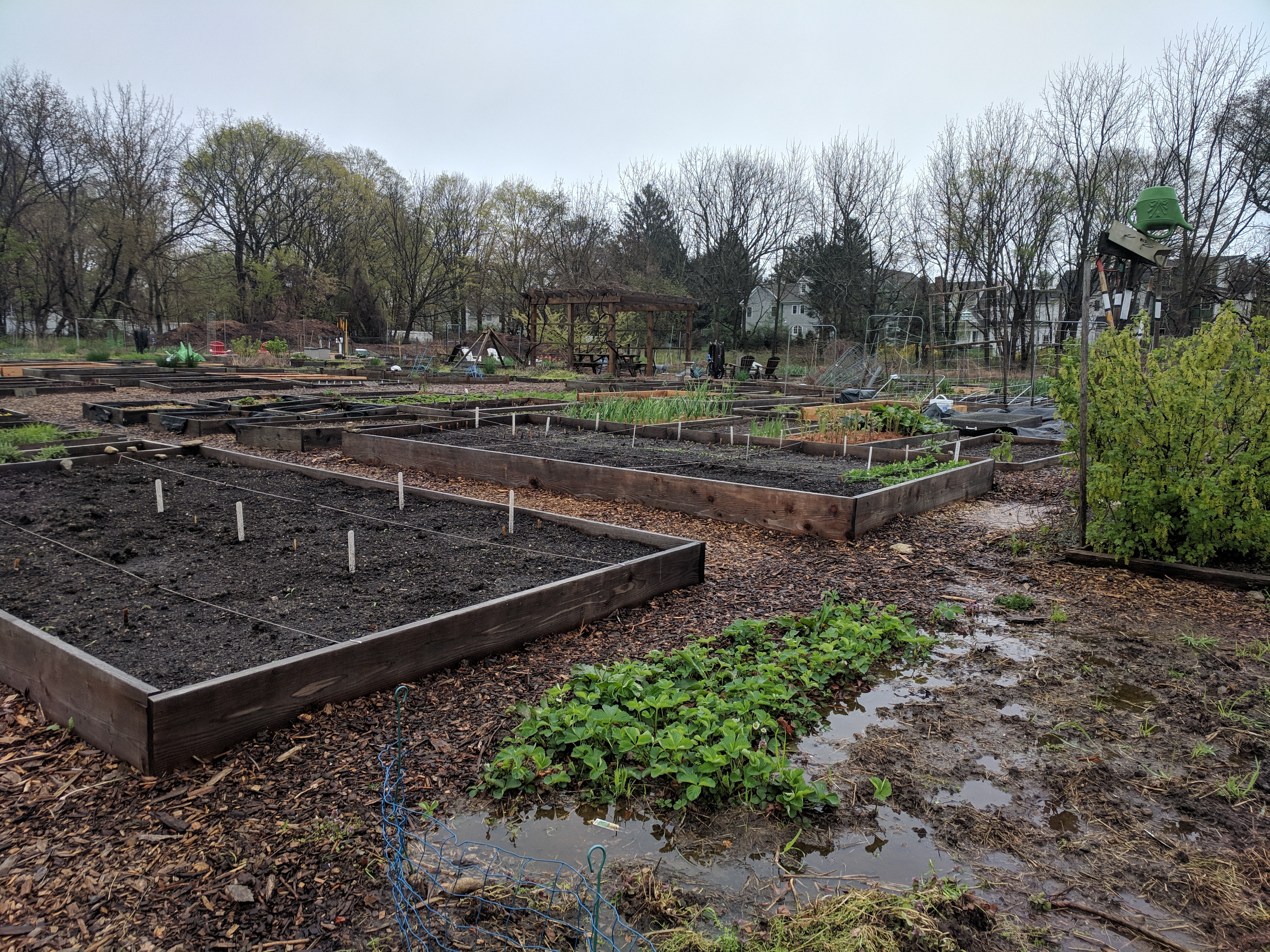 This site was eyed for multi-family housing for low-income residents in a heavily residential single-family section of town in the early 2000s. The town purchased the land from the developer and it is now a community garden. Photo by Jacqueline Rabe Thomas for the Connecticut Mirror.