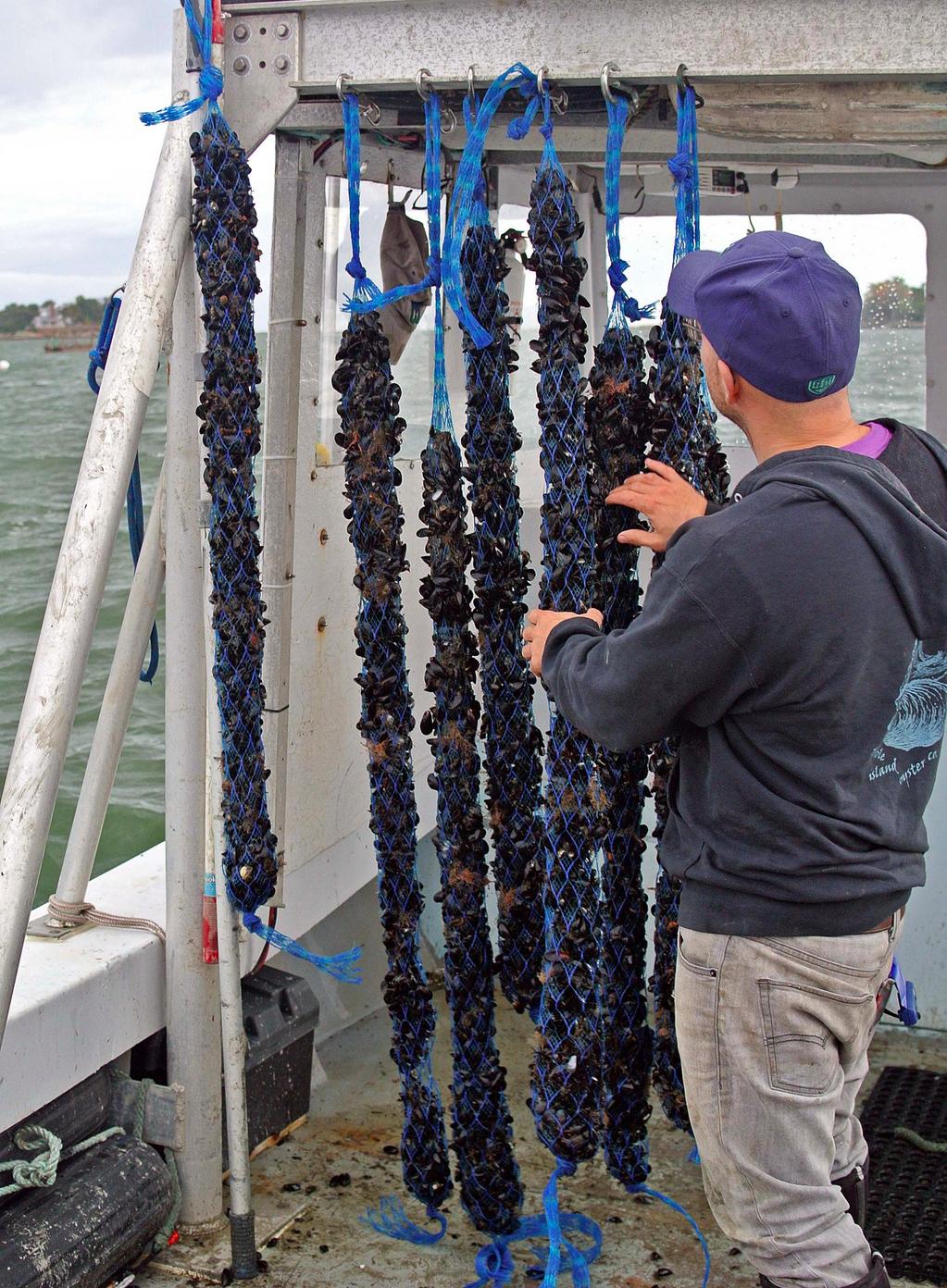 Bren Smith with Mussels from his farm. Photo courtesy of GreenWave