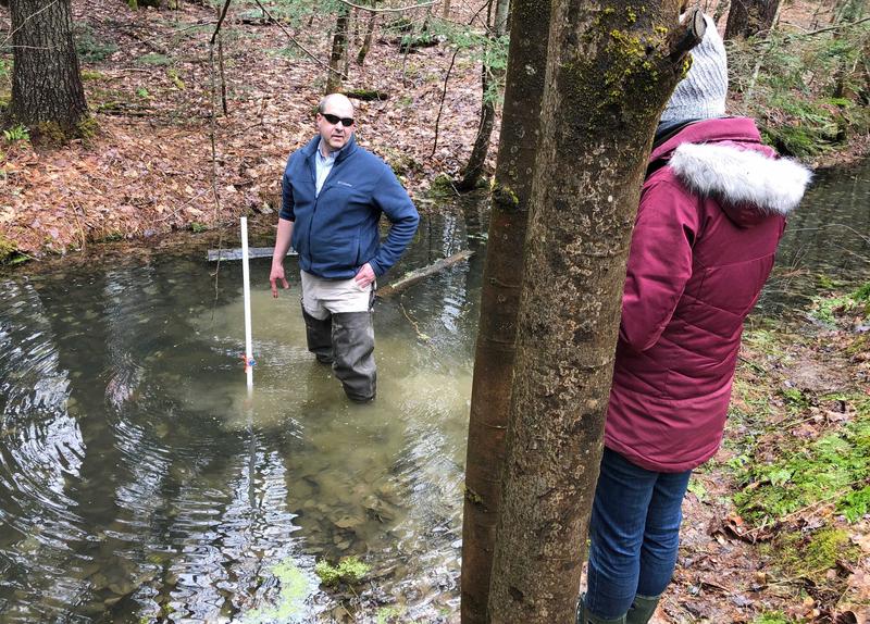 Citizen scientist John Jose, of Montpelier, stands in a vernal pool in Hubbard Park. He and Molly Murray, of Calais, are taking temperature and depth measurements as part of the Vermont Center for Ecostudies' statewide Vernal Pool Monitoring program. Photo by Amy Kolb Noyes for VPR