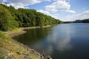 The water level is low on the banks of the Cambridge Reservoir looking south from Trapelo Road in Lincoln, as seen on July 26