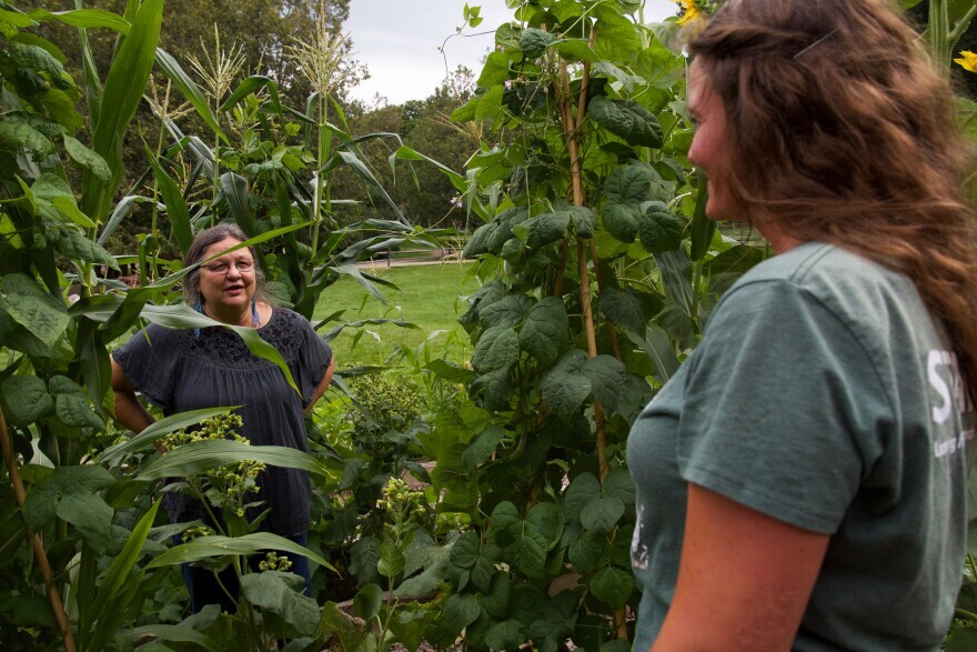 Judy Dow, left, is an Indigenous educator who specializes in teaching traditional ecological knowledge. Here she chats with Shelburne Farms farm-based educator Cat Parrish. Over the summer and fall of 2021, Judy and the land institution partnered to grow an educational plot that would also provide seeds for Indigenous gardens across New England.