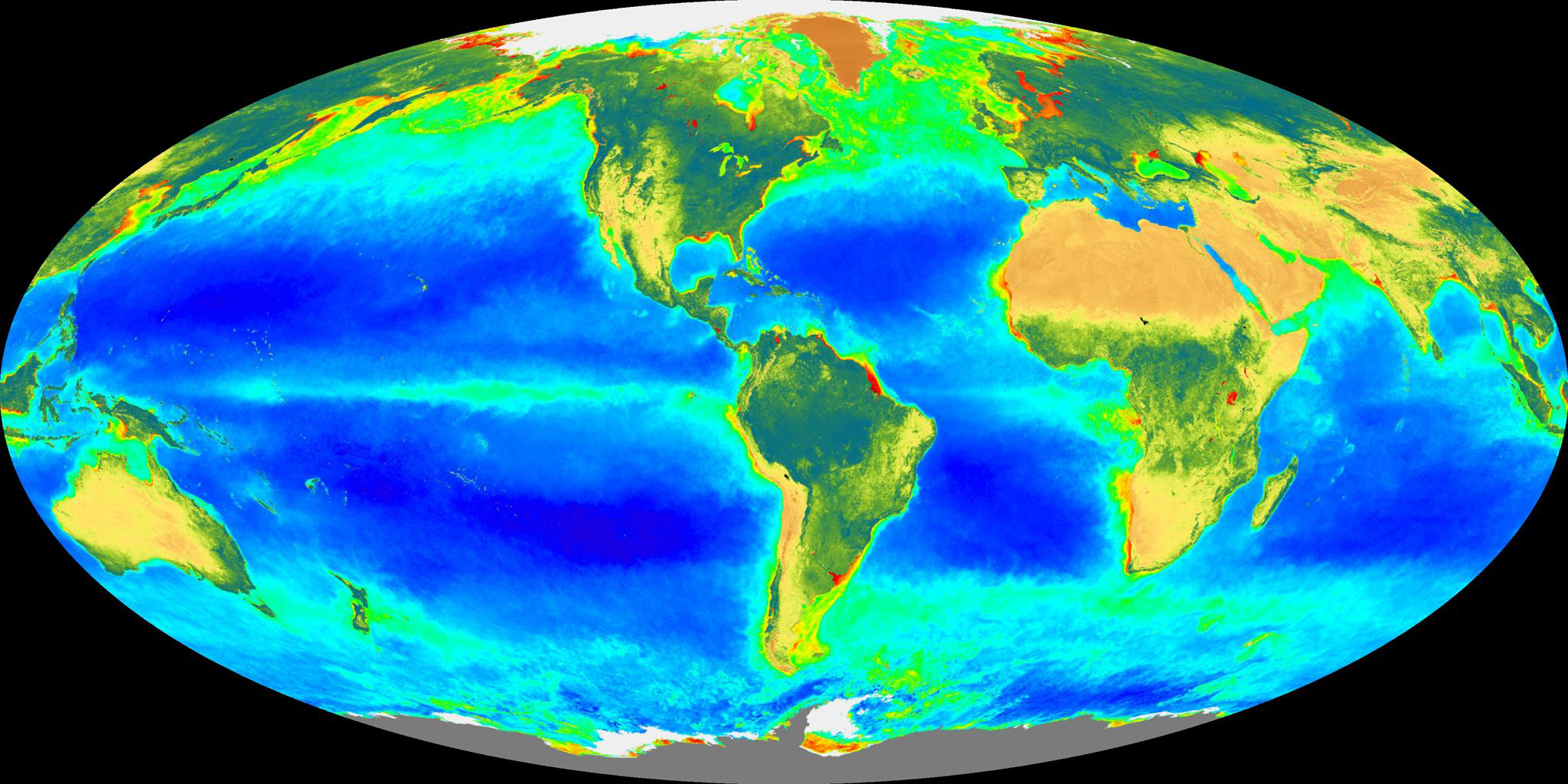 This image released by NASA shows the distribution of plant life on earth as taken by the Sea-viewing Wide Field of View Sensor (SeaWiFS) from September 1997 through August 1998, as observed from space. Ocean areas with high concentrations of microscopic green plants called phytoplankton are colored green, yellow and red. Areas having very low concentrations are colored blue and purple.