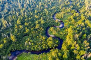 An aerial view of trees and the winding Swift Cambridge River in Grafton Township, Maine.