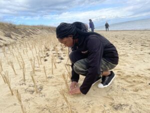 Jasmine McNish, 13, took an early ferry to the Vineyard with her mom to help plant beach grass on Lobsterville Road in Aquinnah. Mass.