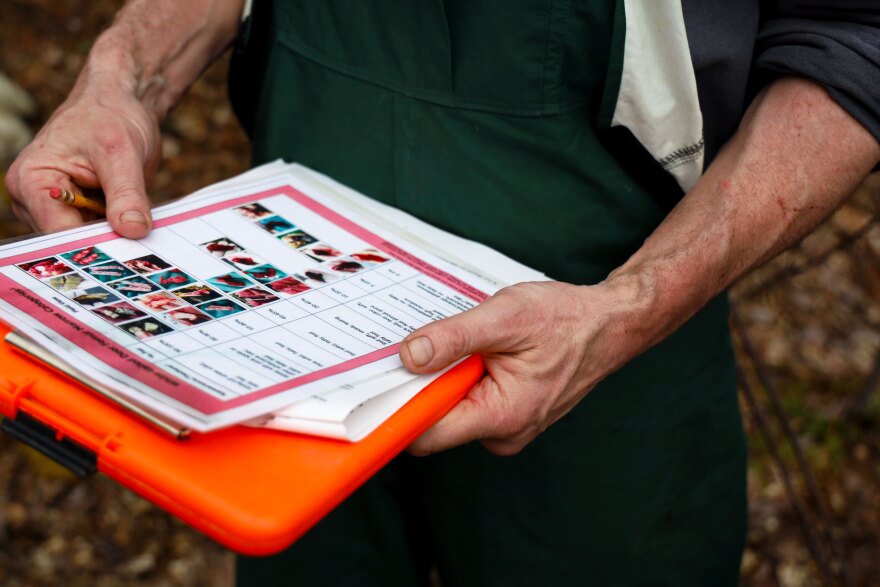 State biologist Lee Kantar records data from the field necropsy on Moose Number 59.