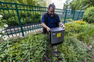 Mike Doucette, of Modern Pest Services, pulls out a SMART box electronic rat trap set up along the bike path outside of Davis Square in Somerville to check its contents.