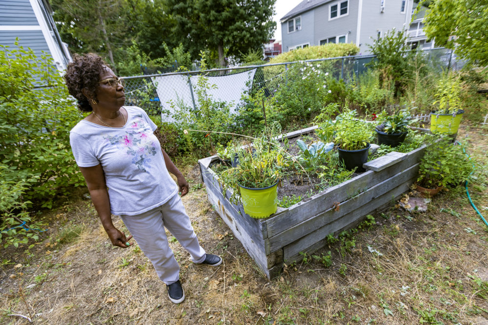 Estella Mabrey looks around her backyard which is full of vegetables and perennial flowers at her home in Dorchester, Mass. 