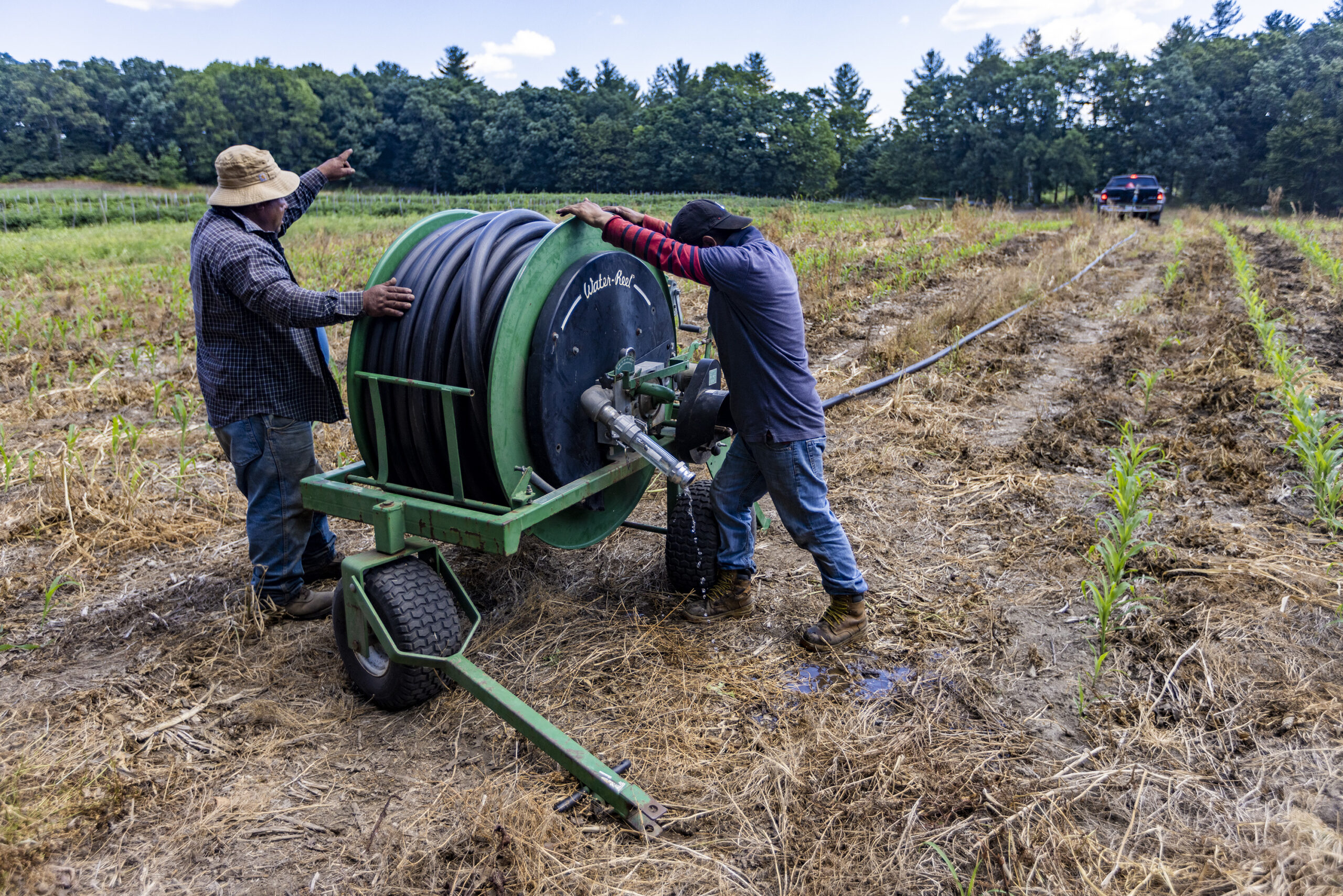 Workers install a drip irrigation pipe onto a field at Farmer Dave’s in Dracut, Mass. 