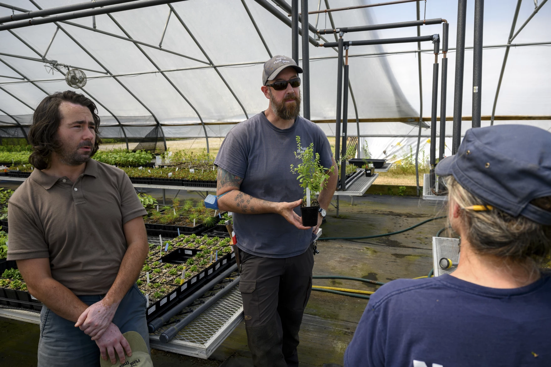 Three adults chat in the greenhouse at Nasami Nursery in Whately, Mass. In the background are seedlings that are grown from plants that were surveyed and sampled in the wild.