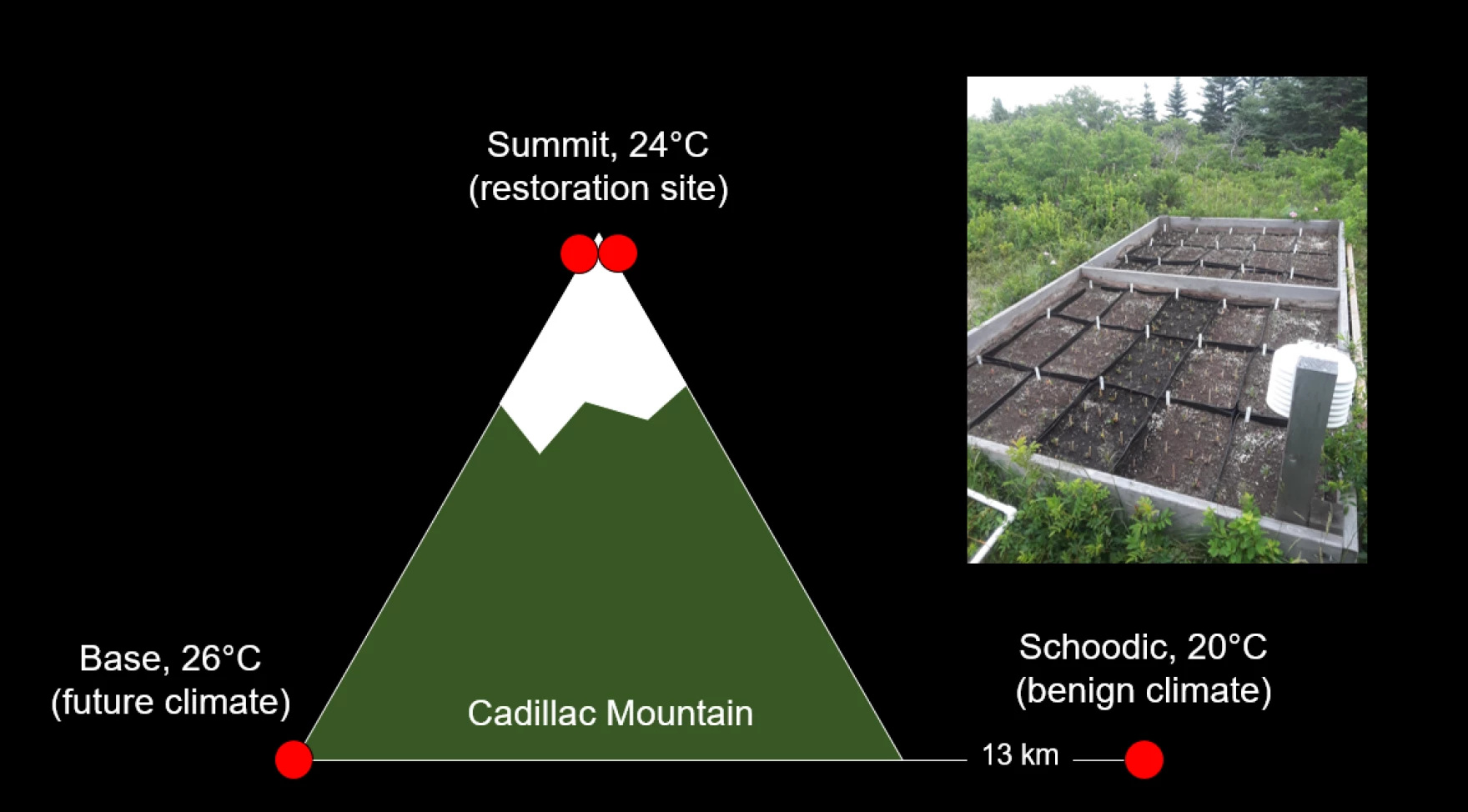 A graphic from the Schoodic Institute displays the temperature difference between the top and bottom of Cadillac Mountain, which researchers are using to study the long-term effects of climate change on plant species.