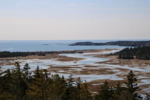 The barrier beach and marsh system at Seawall Beach and Sprague River Salt Marsh.