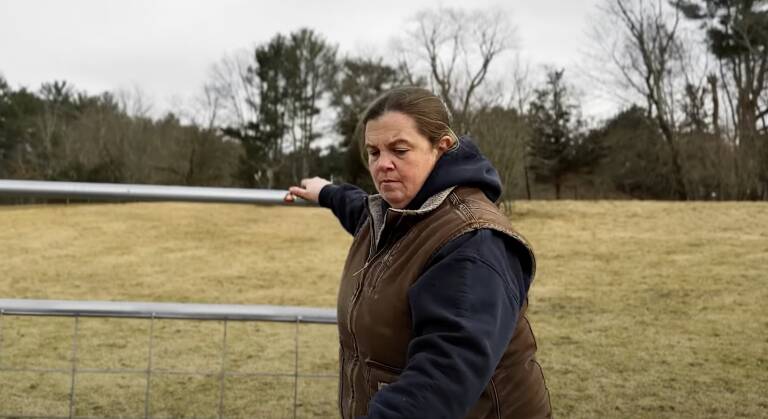 Farmer Meg Riley with some of her Shetland sheep in Middleborough, Mass.